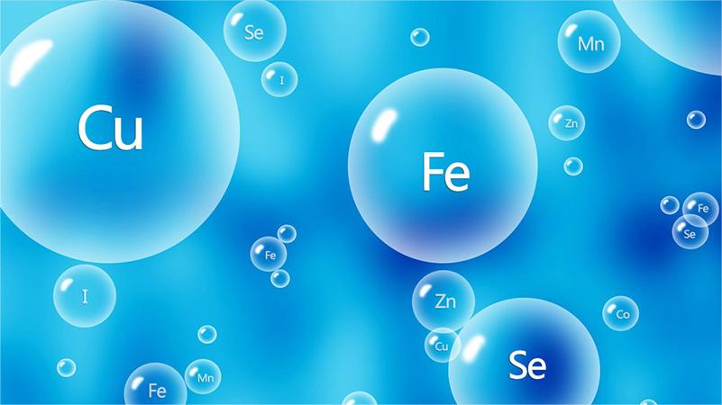 白发养黑知识分享,白发变黑发最好的植物