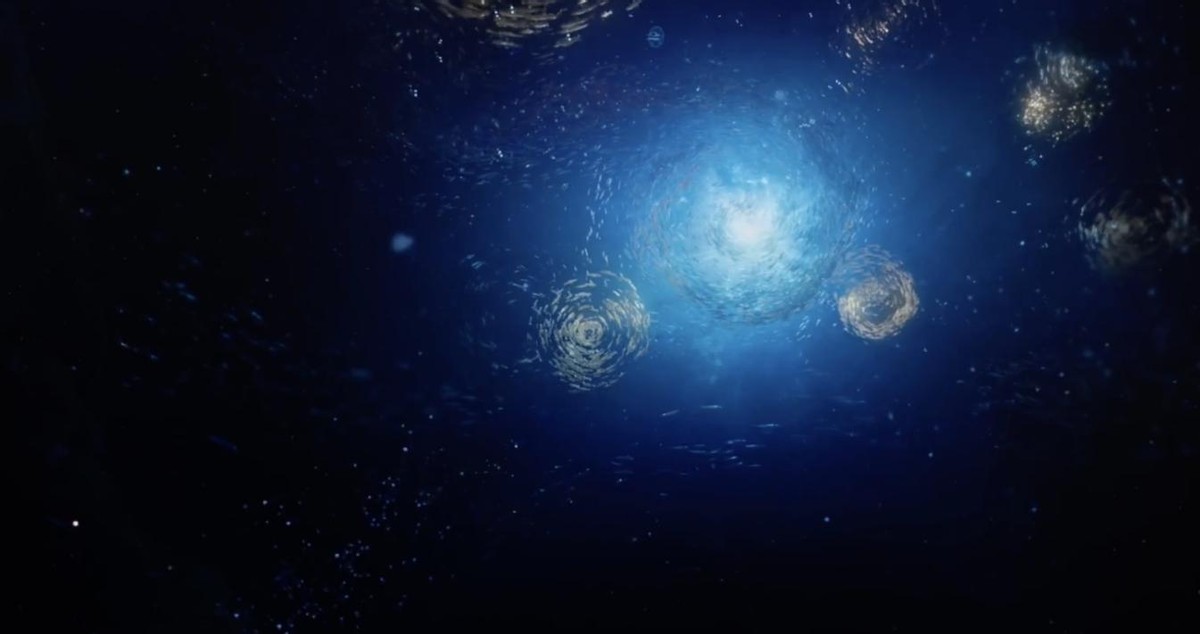 消失的她票房破20亿解说,消失的她票房35亿代表什么