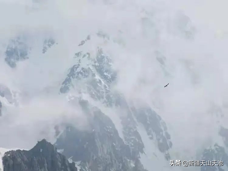 天山博格达峰顶,天山博格达主峰