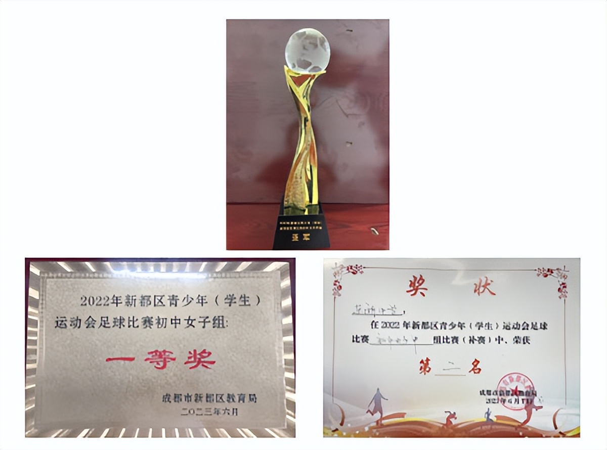 东湖中学平湖足球队,东湖中学光荣榜