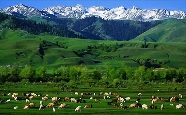 欧洲气候分布特征简略描述,欧洲地理的特点是什么