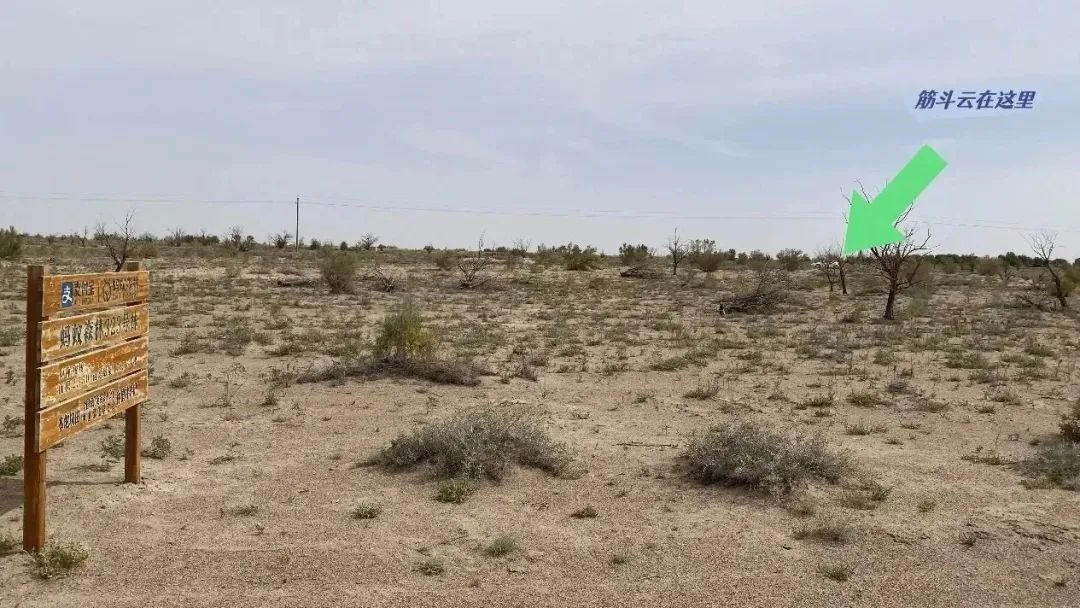 model3performance实际续航,特斯拉model3高性能版长途测试