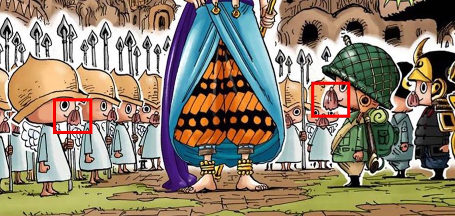 「流星电台」海贼王10641065分析-高质量解读