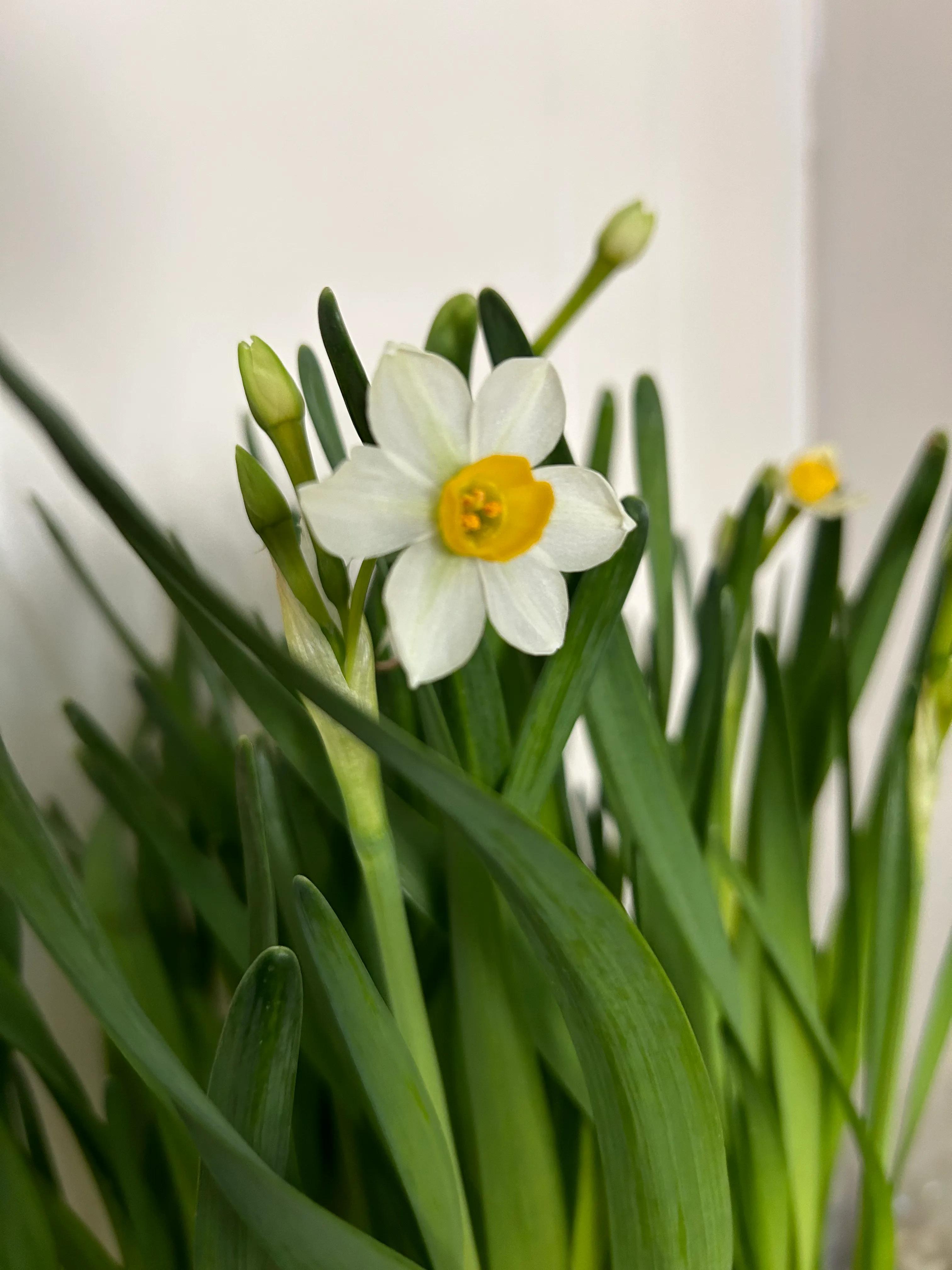 水的源头，云的故乡，牛羊的天堂，开启探岳冰雪之旅