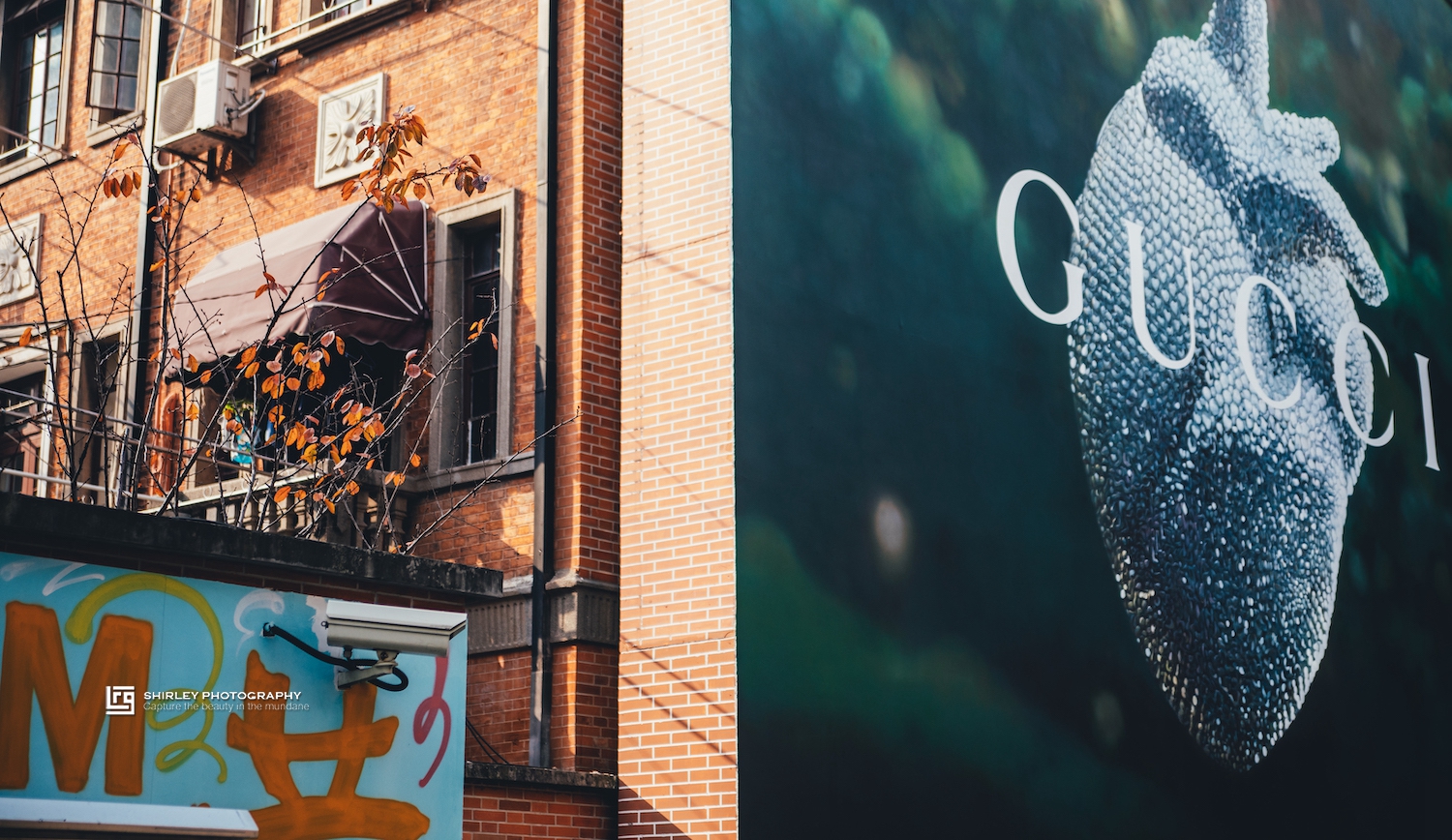 上海田子坊全景视频,上海市田子坊简介