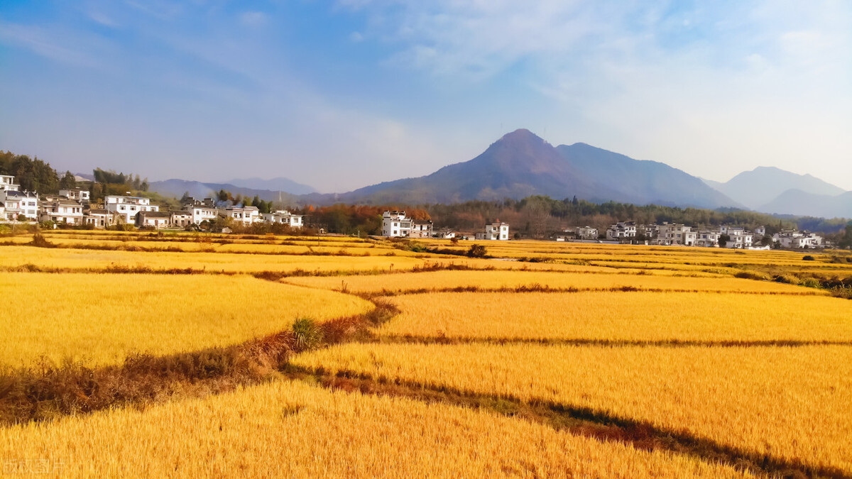 江苏省省属国企待遇排名,江苏省属国企有哪些