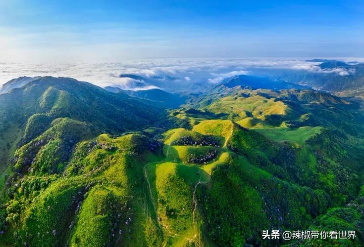 海岸线：邂逅*江阳**——感受这座慢节奏小城文化底蕴感悟人文之美