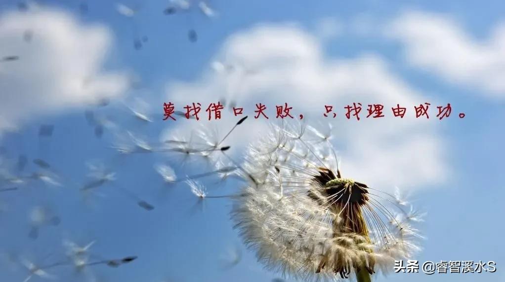 其实那不是理由作文,其实那不是理由600字作文