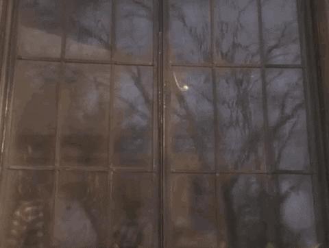 狗狗也有空调病,狗会有空调病吗