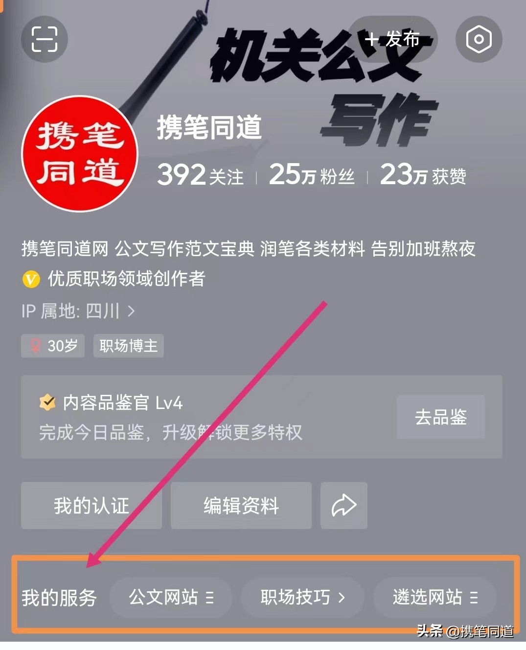 税务系统个人年度工作总结与计划,税务局工作总结及下一步计划