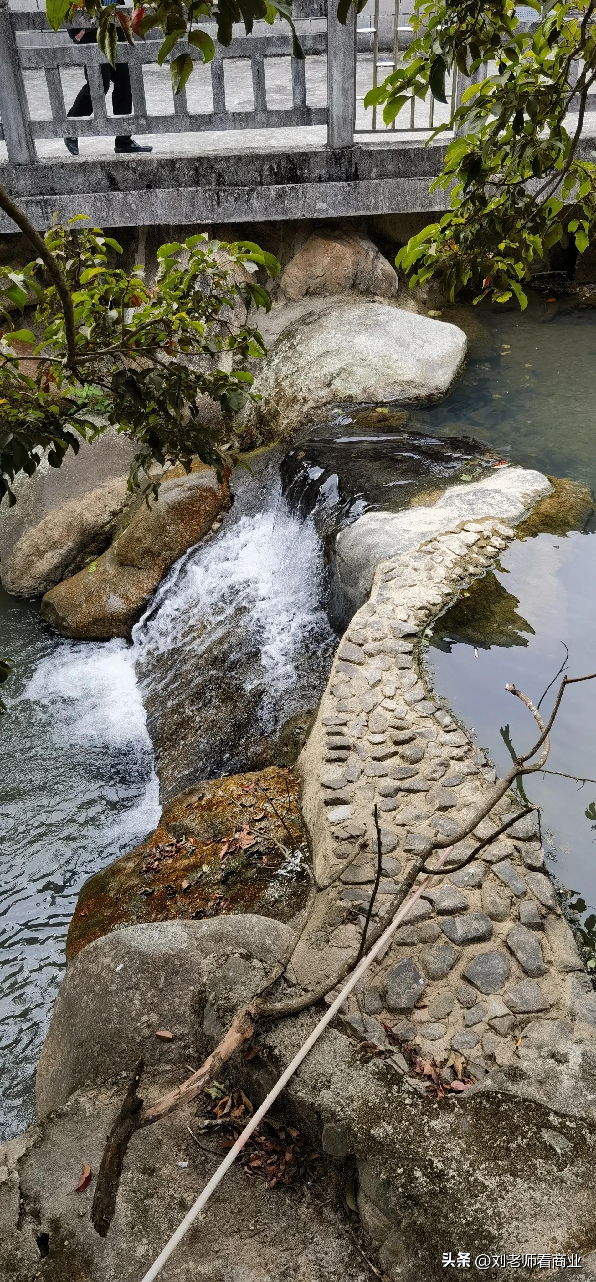普宁老仙洞梅花盛开,普宁赏梅花最佳地点