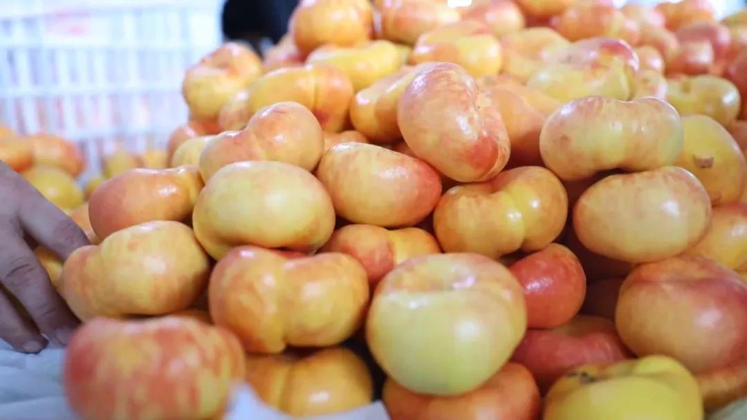 小蜜桃成就大产业系列报道之三：多元畅通的蜜桃营销