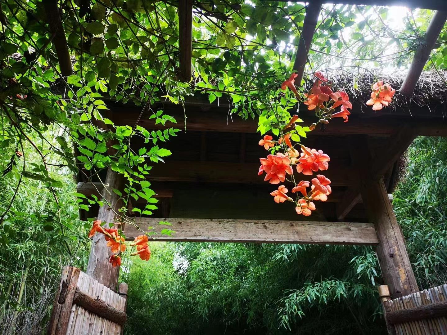 段治卿2022仲秋闲言碎语集