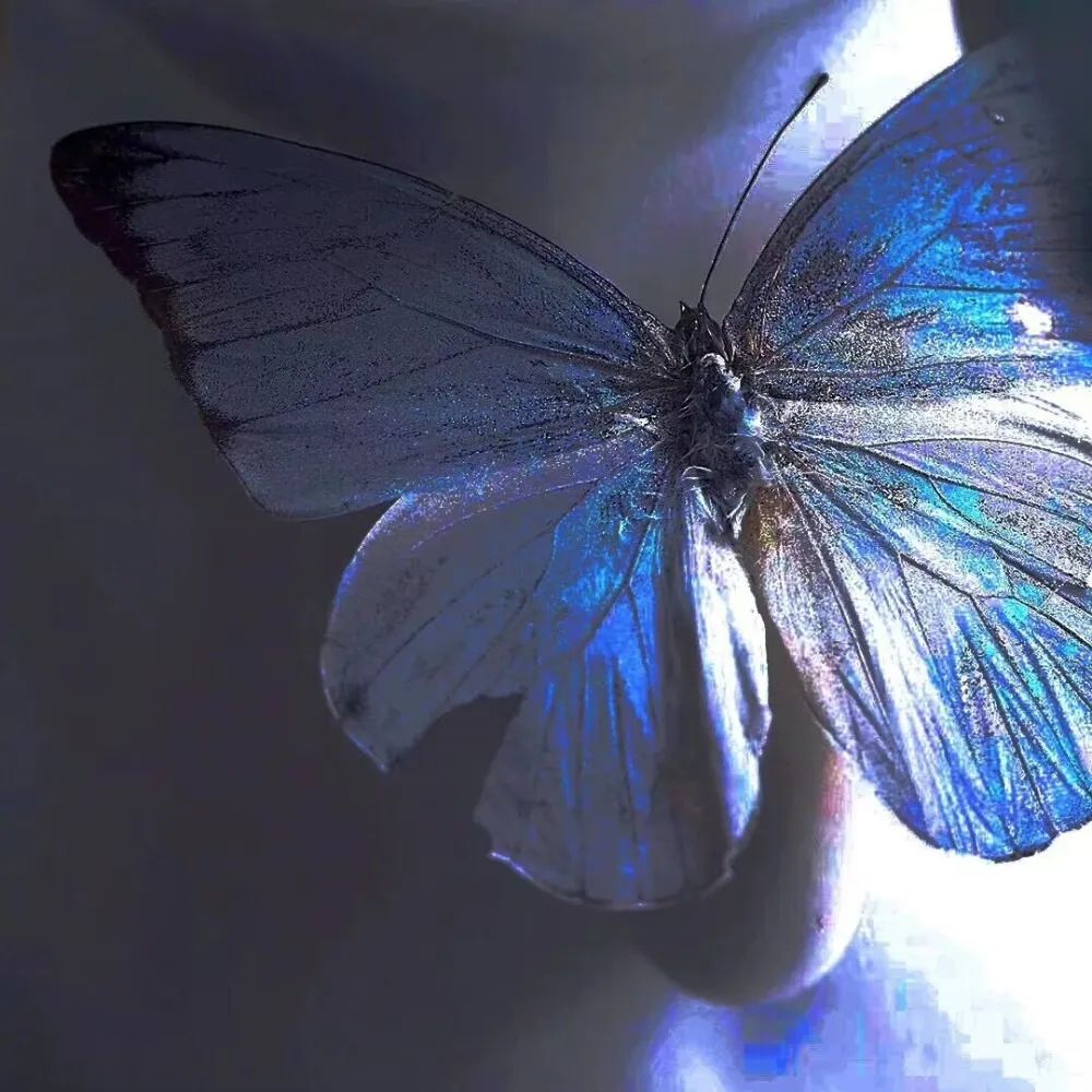 小众成熟霸气背景图,平常小众女生背景图