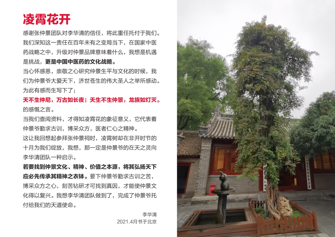 仲景牌系列产品,仲景系列中成药