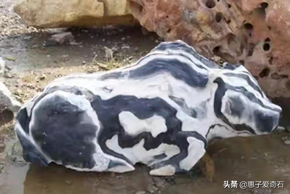 走下神坛玉器,价值1亿以上的灵璧奇石