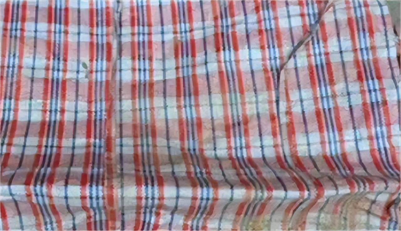 江边突现无名女尸下集,黄浦江边惊现无名女尸结局