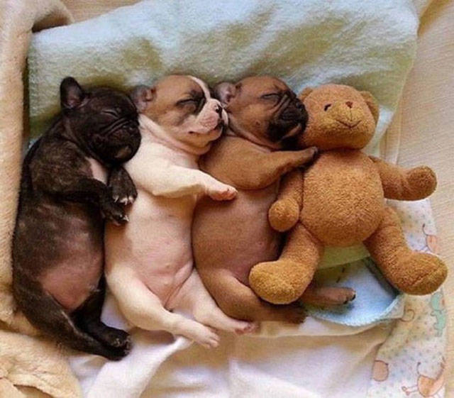 100个难得一见照片,火山爆发时的岩浆图片真实