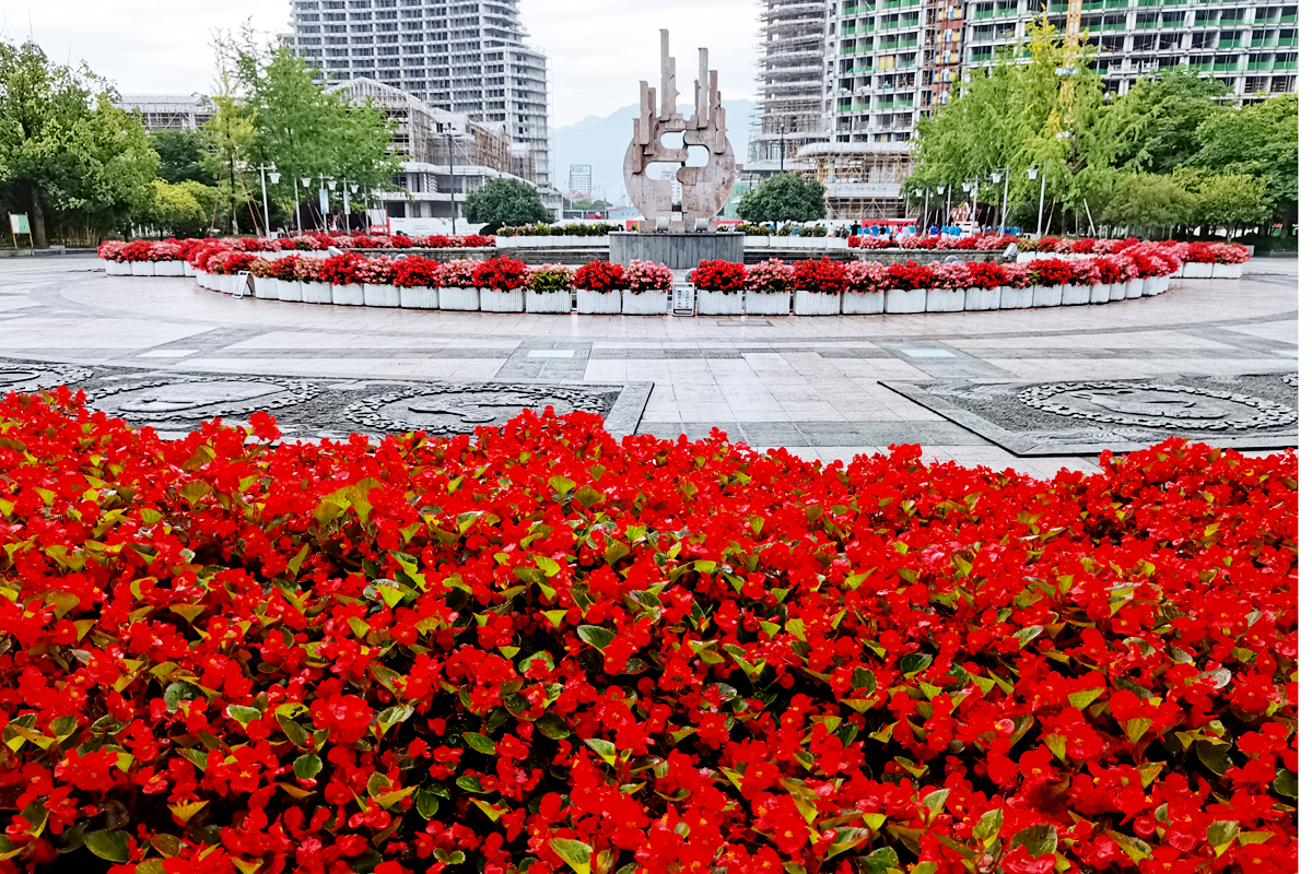 花盆里种不出参天大树——东吴第一任太子孙登成长记