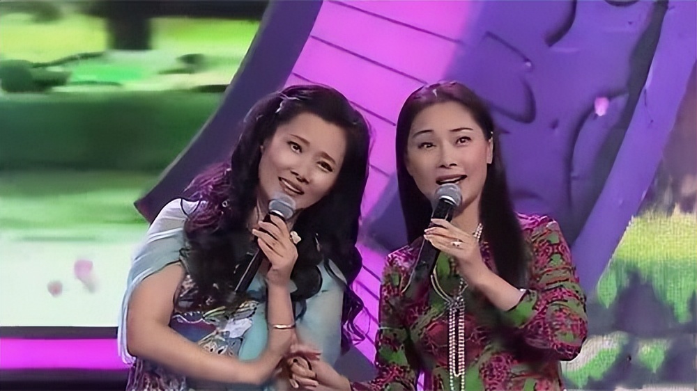 李冰冰姐妹花在娱乐圈打拼靠什么,十对明星姐妹