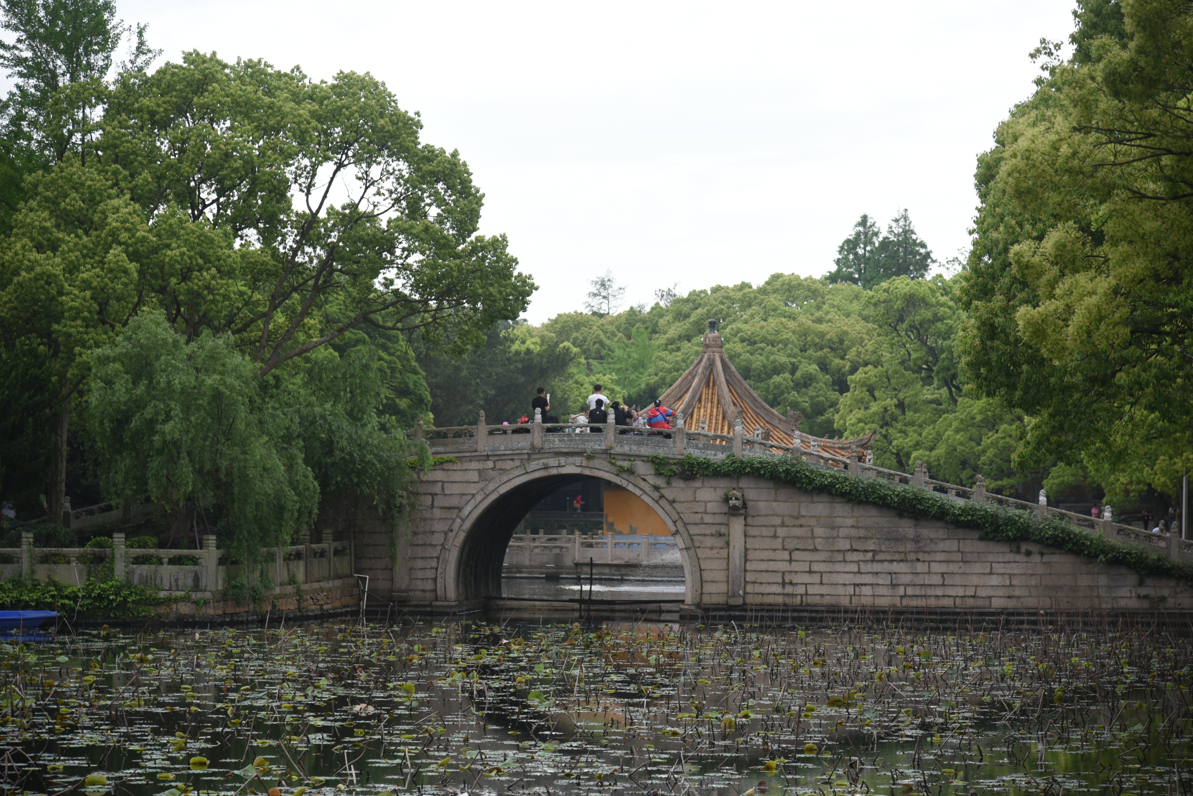 第三年到普陀山祈福之旅圆满,普陀山祈福二日杭州出发跟团游