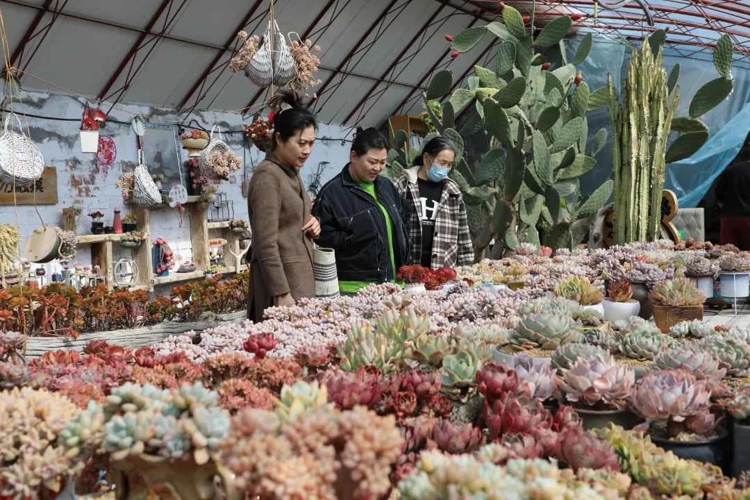 乡村振兴十二师,农旅一体化乡村振兴