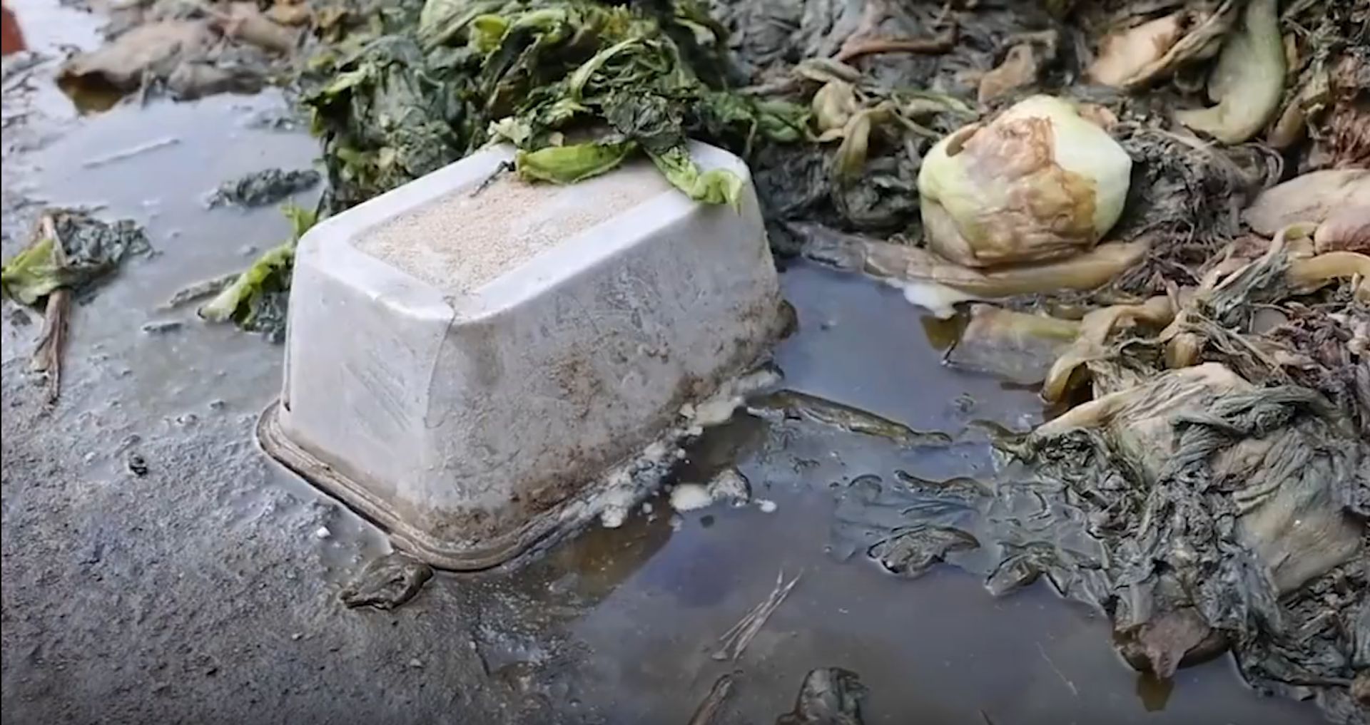 315曝光过的6种坑人食品,触目惊心2018年315曝光的食品状况