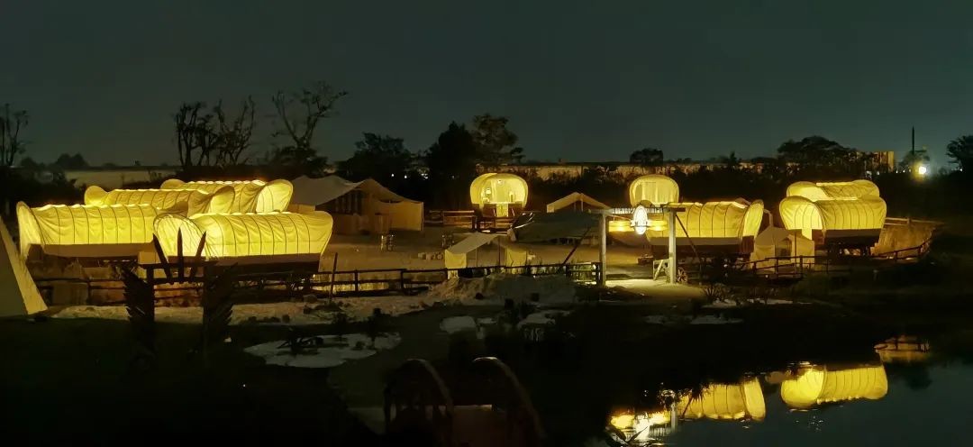 空港花田怎么免费开放,空港花田最新信息