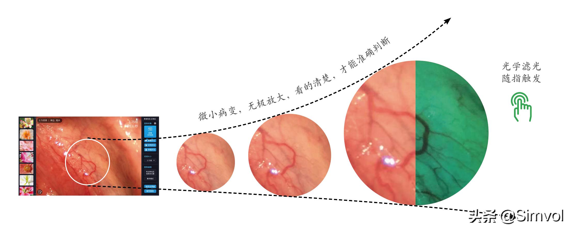 光学显微镜观察血液全流程,光学显微镜滤色镜