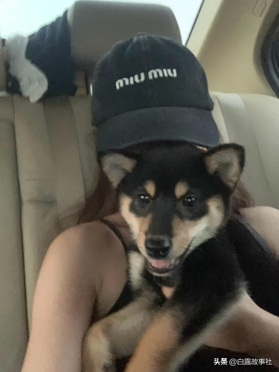 瑜伽教练退婚,瑜伽教练离婚