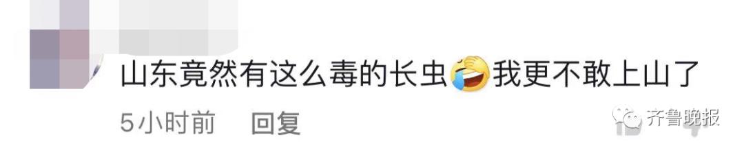 蛇总是偷吃鸡蛋怎么办,2米长蛇惊现居民楼