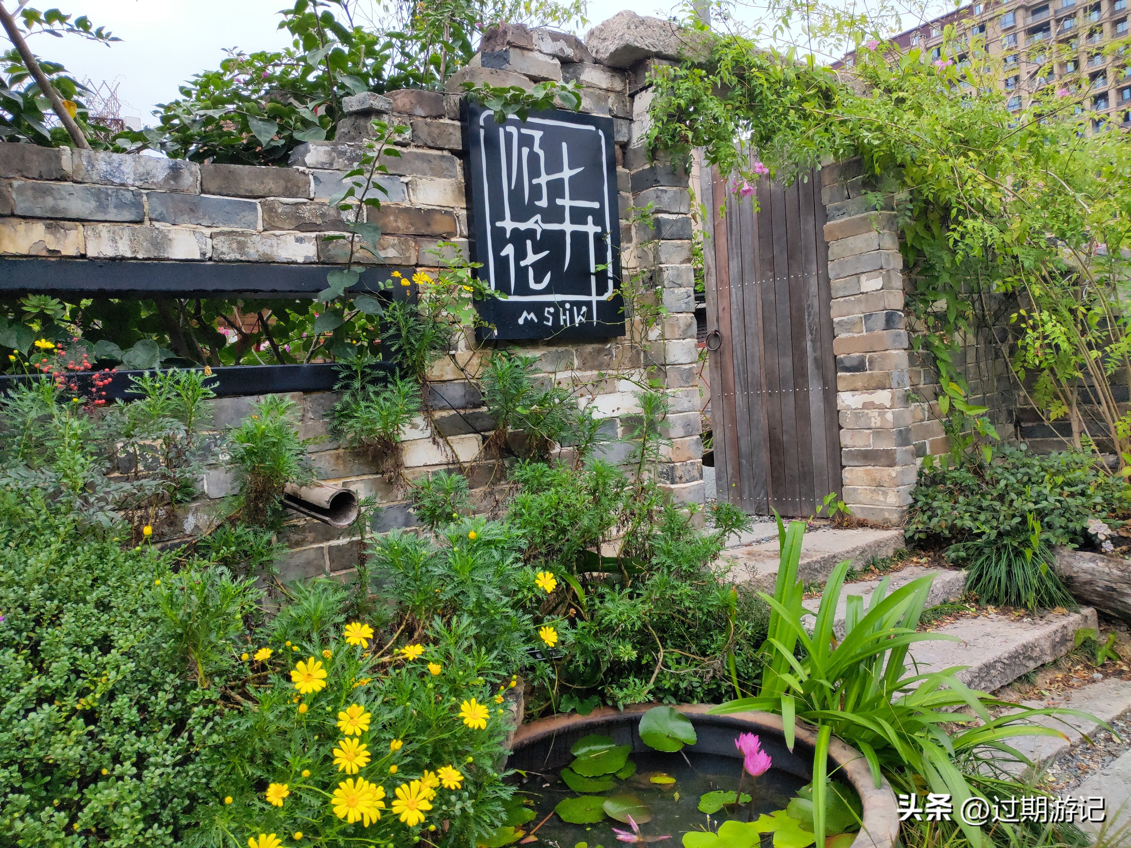 青田旅游购物,到青田要过哪些地方