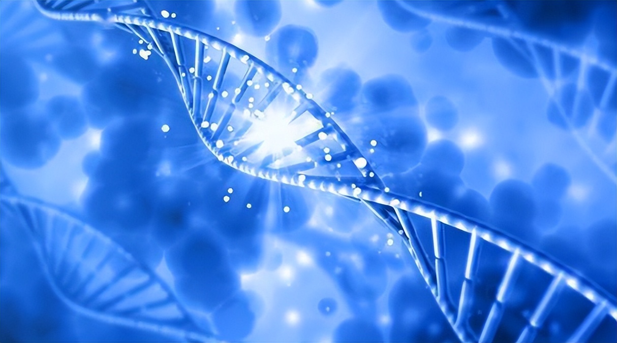 日本回收中国的烟头干什么,日本收购废弃烟头的目的