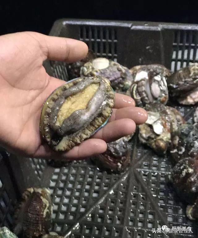 海鲜贝类品种大全及名字,22种海鲜贝类做法大全