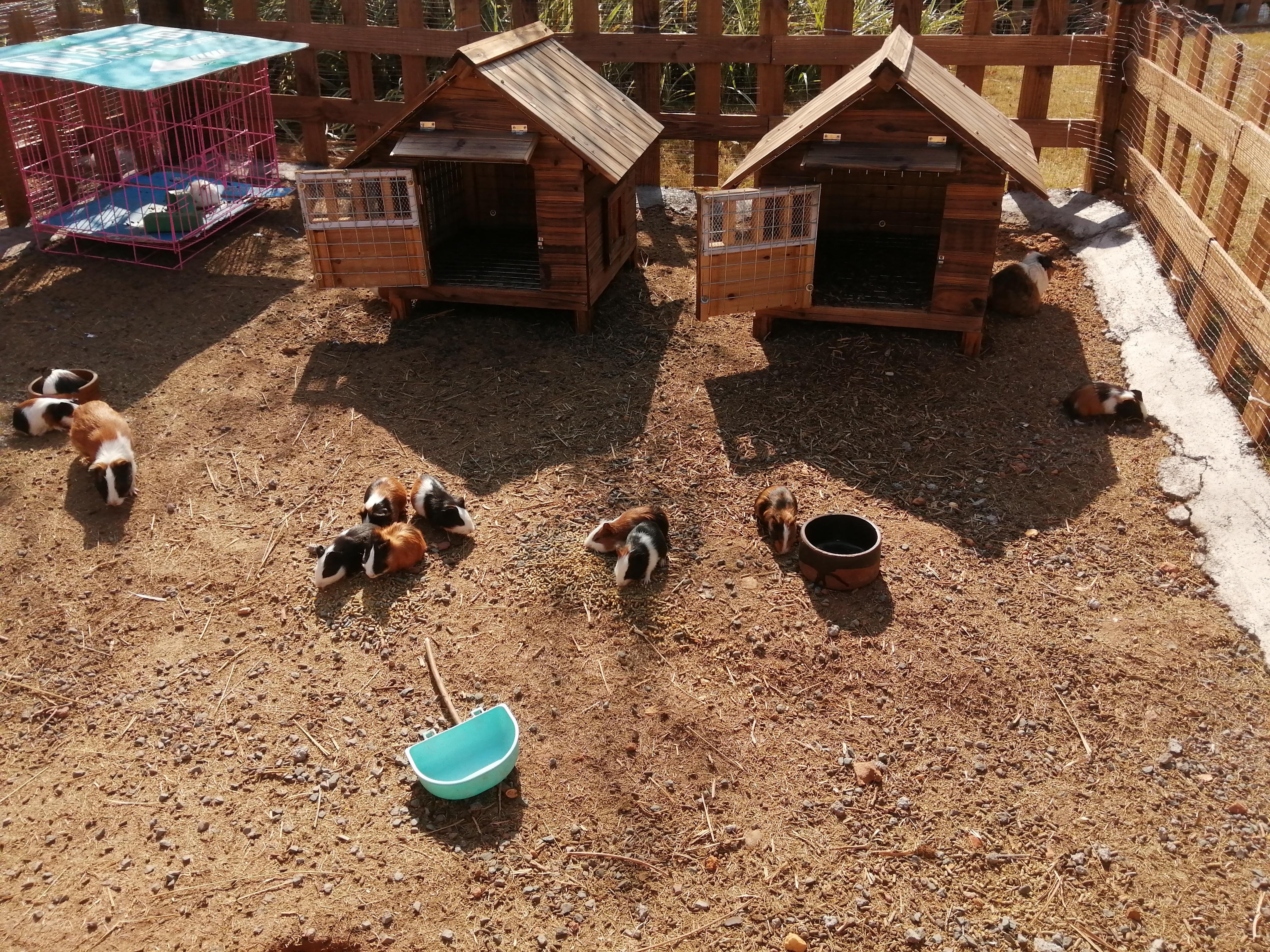 客天下(四):客天下田园花海CS战场山地车小朋友玩得乐不思蜀