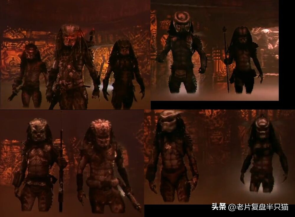 铁血战士铁血异形有多强,铁血战士铁血异形顺序