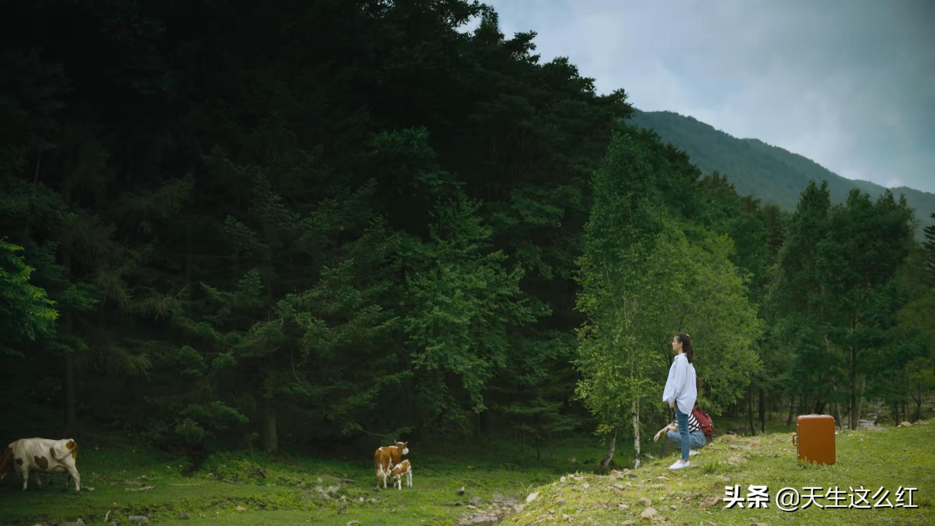 《人世间》最不能忍的两处改编！玥玥考上清华，剧情就彻底崩了