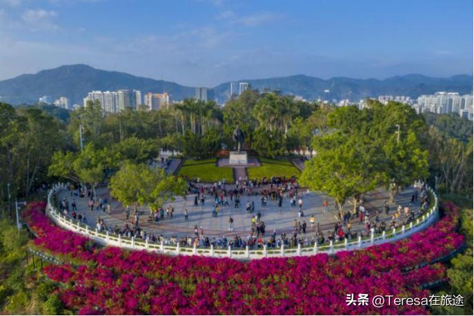 深圳莲花山最好的景区,旅行深圳莲花山公园春天风景