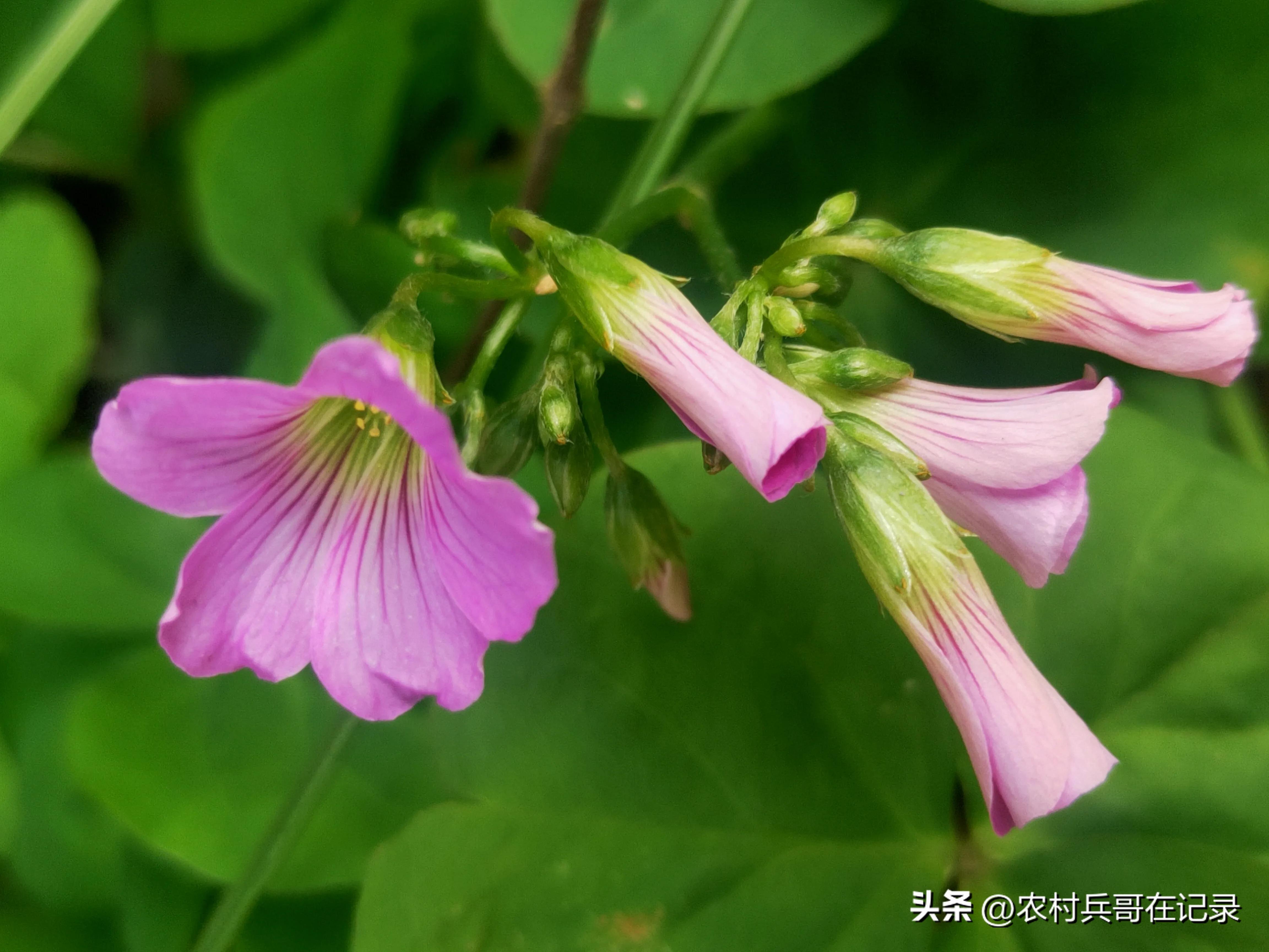龚大,退休的年纪,找陈哥帮忙,说话却不经考量,但李哥可不由着他！