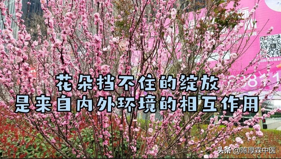 “这病”建议采用民间秘验方治疗——理、法、方、药、效（上集）