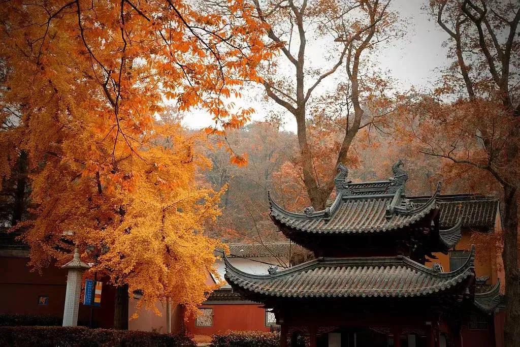 境外寄回的东西要交税吗,旅行国外行李邮寄回国