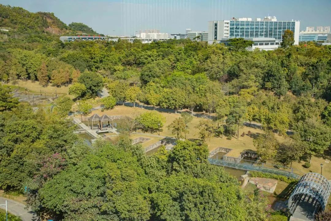 收藏打卡！坪山区原来有这么多地方可以逛，免费又好玩