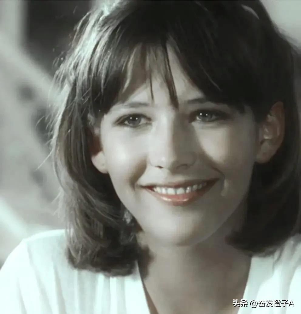 法兰西玫瑰苏菲玛索图片,法兰西玫瑰苏菲玛索写真