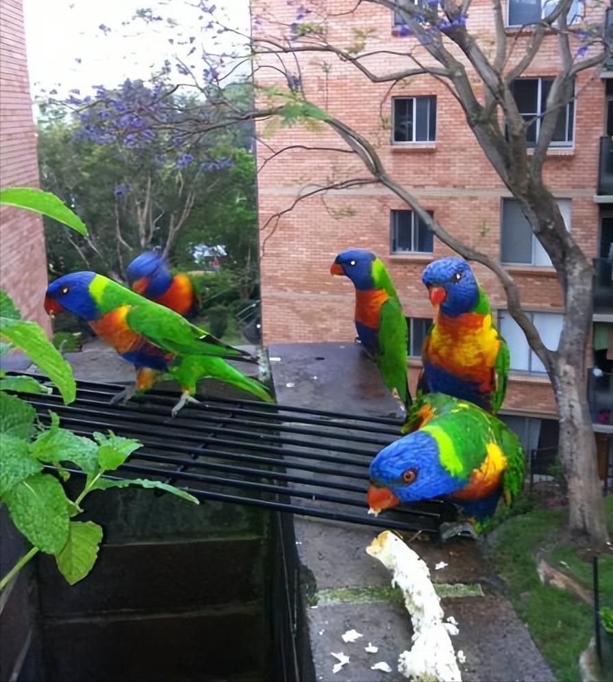 100个难得一见的照片,106个难得一见的照片