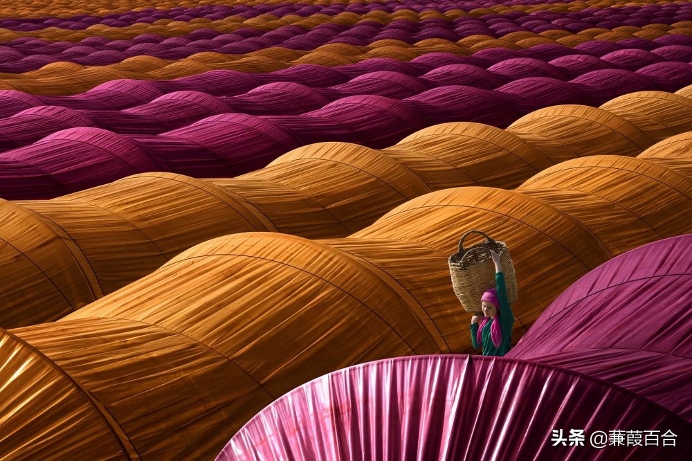 20张罕见又迷人的照片,2021年意大利锡耶纳国际摄影奖