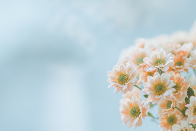 一年一度年度必读书单,个人成长100本书推荐