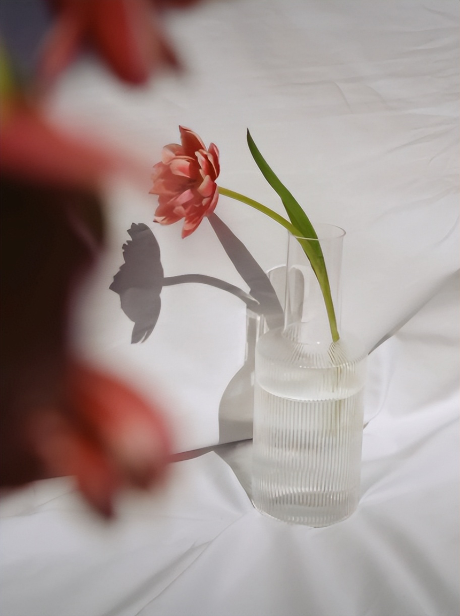 分享假期生活的一天并谈感受,分享我的假期心事