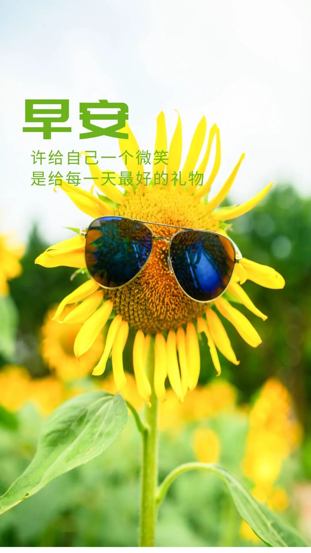 早安微笑语录经典句子,2020年经典早安心语语录锦集80条