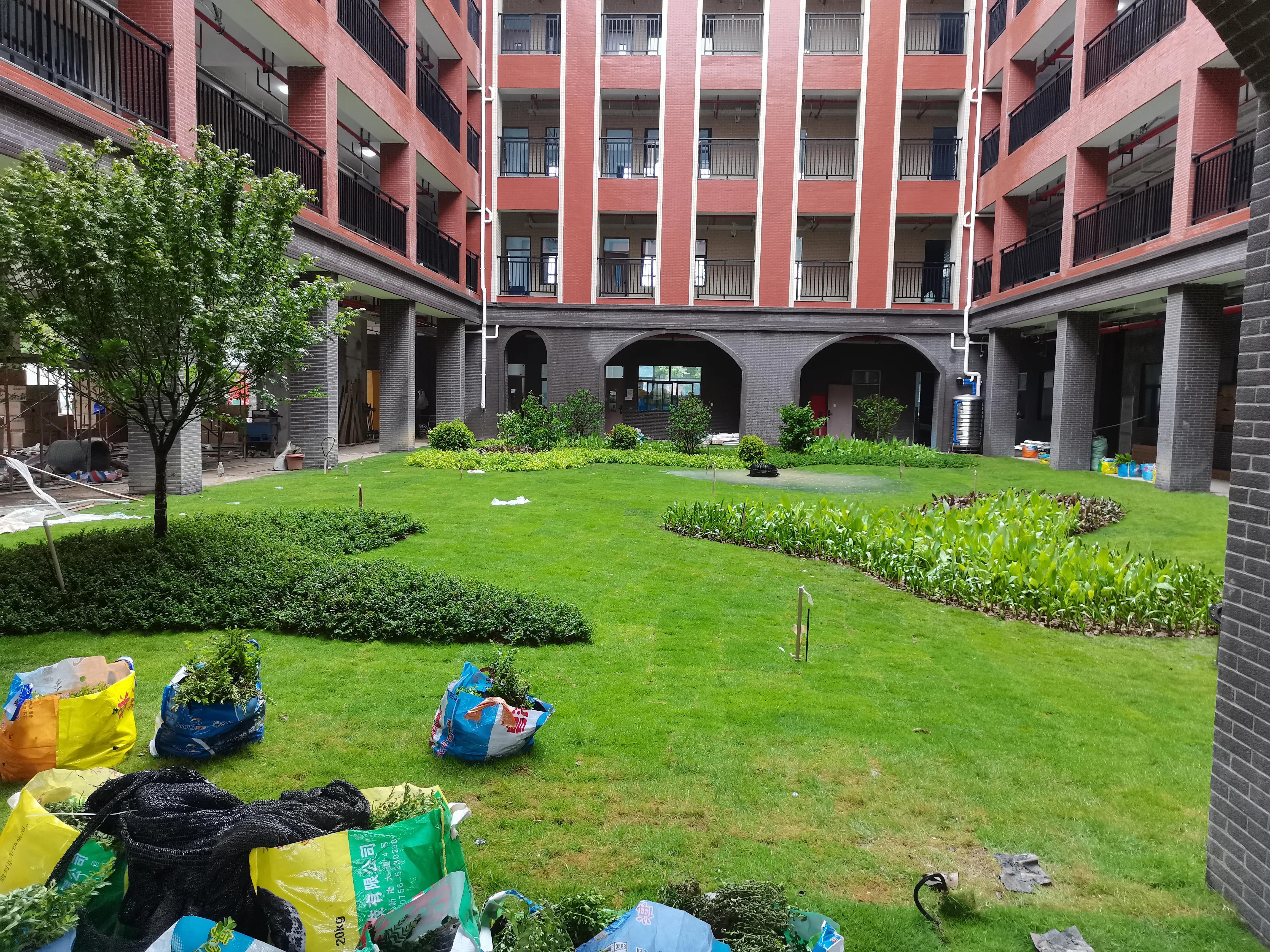 地被的栽植方式,地被种植施工方法