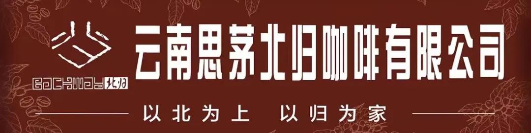 【普洱茶都康乐思茅】火焰木：凤凰涅槃浴火重生